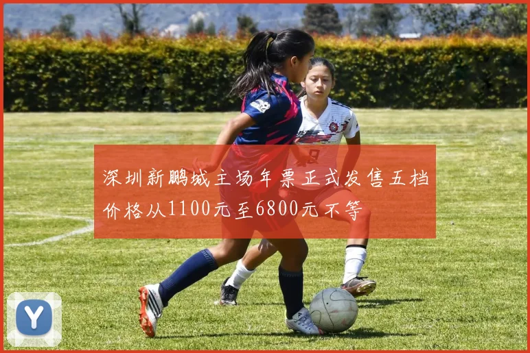 深圳新鹏城主场年票正式发售五档价格从1100元至6800元不等