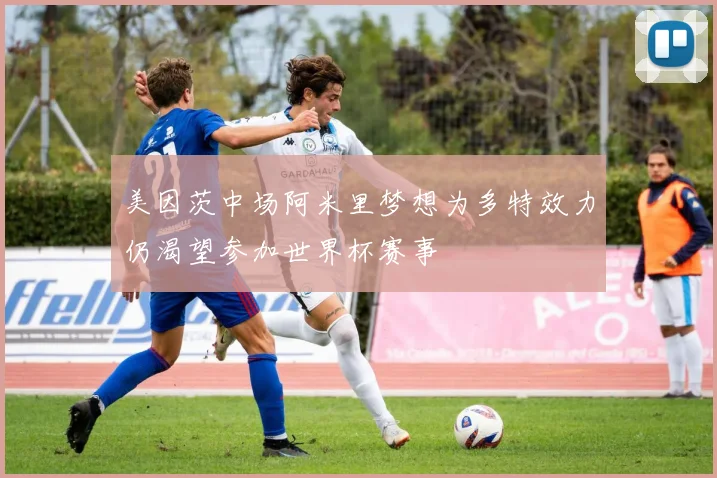 美因茨中场阿米里梦想为多特效力仍渴望参加世界杯赛事