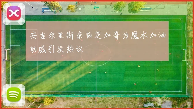 安吉尔里斯亲临芝加哥为魔术加油助威引发热议