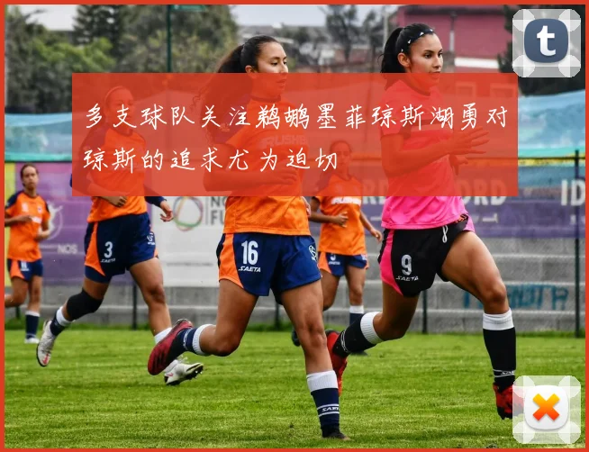 多支球队关注鹈鹕墨菲琼斯湖勇对琼斯的追求尤为迫切