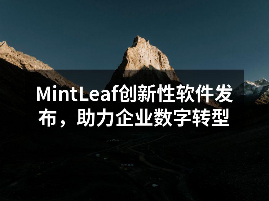 MintLeaf创新性软件发布，助力企业